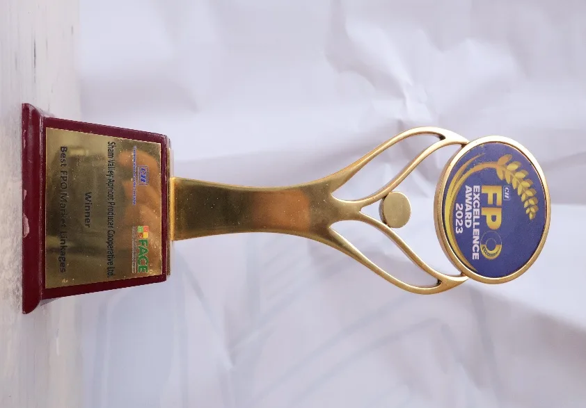 CII Excellence Award trophy