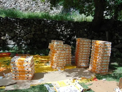 Apricot crates packed in the orchard