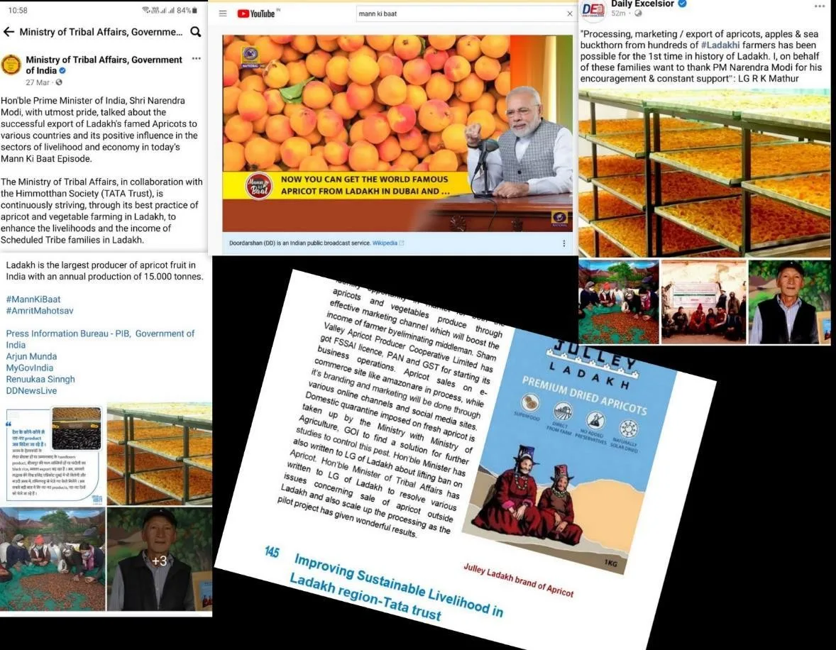 Press coverage of Ladakh apricot exports