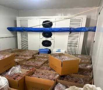 Dried apricots in storage